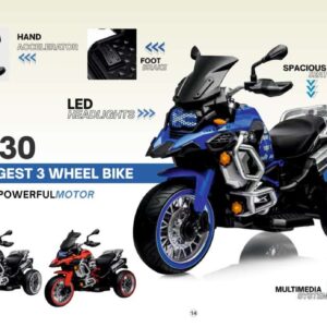 V30 Biggest 3-Wheel Kids Bike